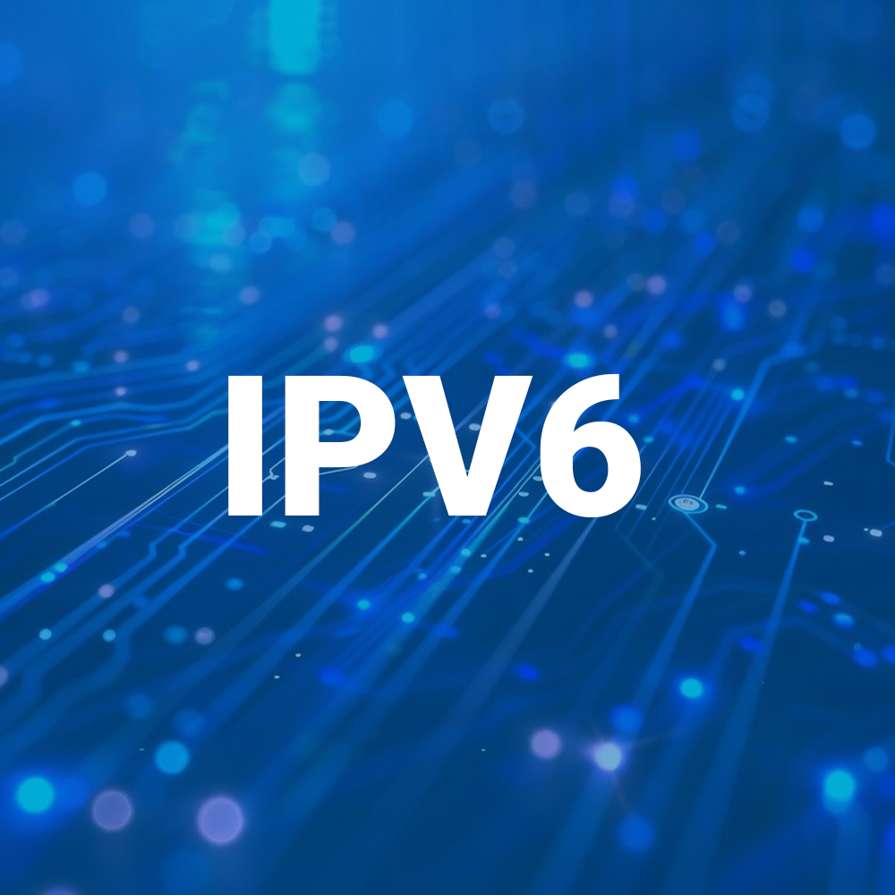 오리비전 IPv6.png